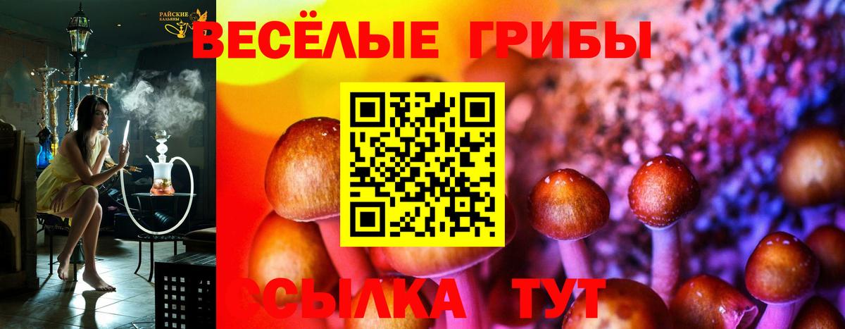 Галлюциногенные грибы ЛСД Бугульма