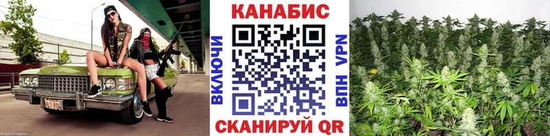 Бошки марихуана Amnesia  купить наркоту  гидра как зайти  Бугульма 